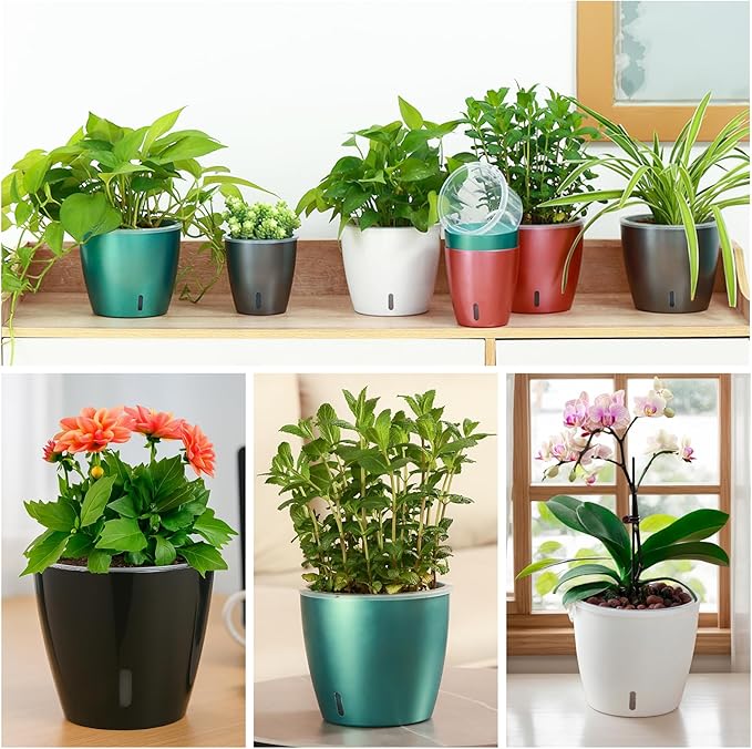 Self Watering Pots for Indoor Plants, 6-Pack 5'' Self Watering Planter with Drainage Holes, Small African Violet Pots with Water Indicator, Clear Wick Orchid Pot, Black