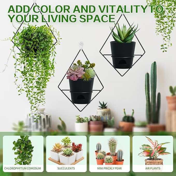 Koalaime 3 Sets Wall Planters for Indoor Plants Geometric Hanging Planters for Indoor Plants - Self-Watering Flower Pots with Black Metal Holder, Mounted Succulent Planter, 5" Black Plant Pot