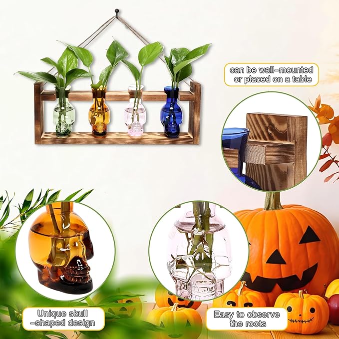 Plant Propagation Stations Halloween Skull Plant Terrarium Kit Glass Vases Gift for Father Air Planter Home Office Decor