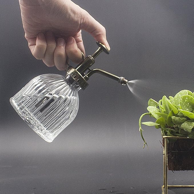 Glass Plant Mister Water Spray Bottle, 200 ML Glass Plant Spritzer Mister Bottle, Vintage Style Glass Succulent Watering Bottle with Top Pump, Plant Sprayer Mister for Indoor Plants - Clear