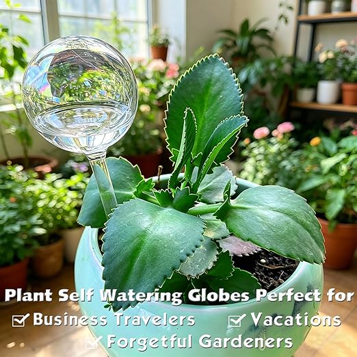 2pcs Glass Plant Watering Globes, Clear Rainbow Color Flower Self-Watering System Spikes, Automatic Plant Waterer Bulbs for Indoor & Outdoor Plants Everyday Use