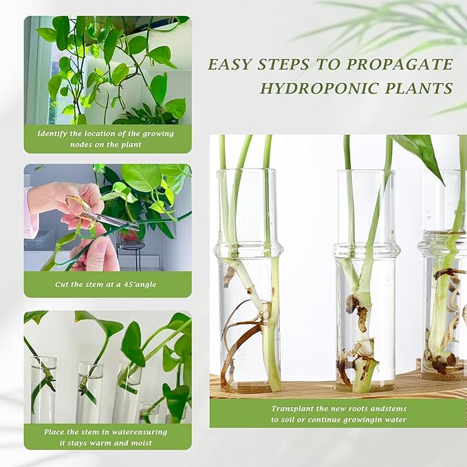 Plant Propagation Station with Wooden Stand, Glass Propagation Vase for Plants, Plant Terrarium Birthday Gifts for Women Mom Plants Lovers, Home Office Garden Decor, 5 Glass Tubes