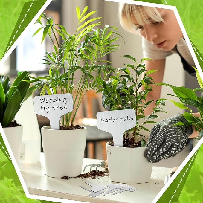 Hicarer 24 Pcs Medium Size Metal Plant Labels Weatherproof Garden Markers 8" x 4" Engraving Stainless Steel 304 T-Type Plant Tags Reusable Nursery Tags for Outdoor Garden Greenhouse Vegetables Flower