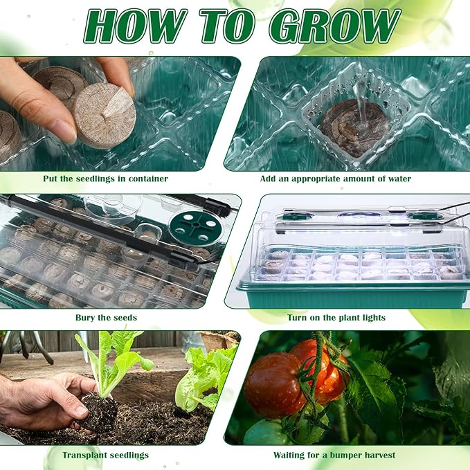 FillTouch 2 Packs 80 Cells Seed Starter Trays Kit with 4 Grow Light Seed Starter Kit Seedling Starter Trays with Humidity Dome and 80 Pcs Peat Pellet for Garden Seeds Propagation Seedlings