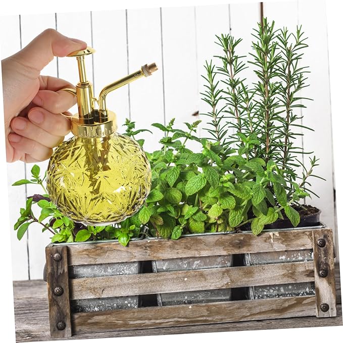 Toddmomy Glass Plant Mister Spray Bottle Vintage Watering Pot Pump for Indoor Plants Glass Design for Easy Monitoring and Uniform Mist Spraying