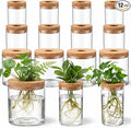 12 Pack Plant Propagation Station with Hole Lid Plant Propagation Jars Plants Plastic Propagations Stations Planter Vase Hydroponic Vases for Home Desktop Office Decoration, 3 Sizes