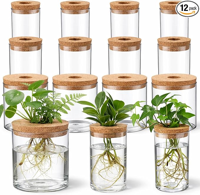12 Pack Plant Propagation Station with Hole Lid Plant Propagation Jars Plants Plastic Propagations Stations Planter Vase Hydroponic Vases for Home Desktop Office Decoration, 3 Sizes