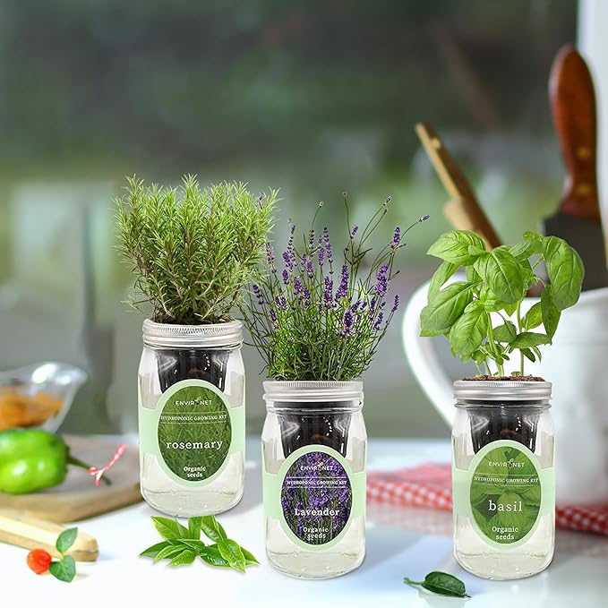 Hydroponic Herb Growing Kit Set, Self-Watering Mason Jar Herb Garden Starter Kit Indoor, New Christmas Gift for Mom (Lavender, Rosemary & Basil)