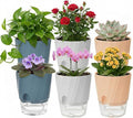 Self Watering Plant Pots 6 Inch, 6 Pack Indoor Planters with Wick Rope and Reservoir, Decorative Flower Pots for Spider Plant, Orchid, African Violet, Home Office Decor (2 White, 2 Pink, 2 Blue)