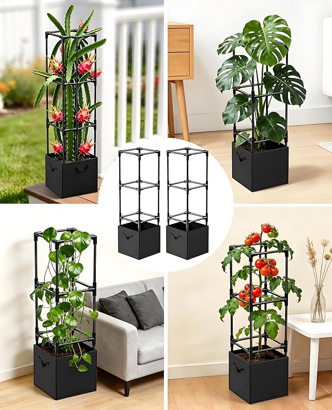 Dragon Fruit Trellis for Climbing Plants Indoor Outdoor, Heavy Duty Metal Adjustable Vertical Garden Support for Indoor Outdoor Potted Plants, Tomato, Cactus, Roses,Vines(12 * 12 * 47inch,1PC)