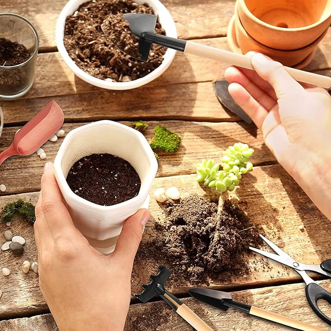 RoseFlower12 Pcs Mini Gardening Tools Set, Plants Care Tools Kit, Bonsai Mini Hand Transplanting Succulent Tools, Indoor Terrarium Tool Accessories, Garden Plant Care Tool Kit, Gardening Accessories