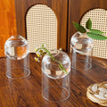 3-Pack Glass Plant Propagation Station, Planter Hydroponics Vase, Clear Glass Vase Set | Bud Vase & Mini Terrarium with Removable Base