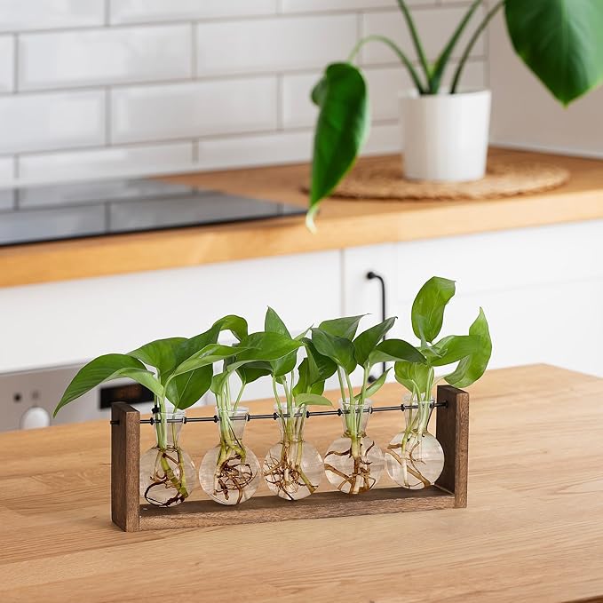 YIBOT Wall Hanging Glass Planter Plant Propagation Vase for Indoor Home Office Living Room Decor Gifts, Plant Terrarium with Wooden Stand-5 Bulb Glass Vases