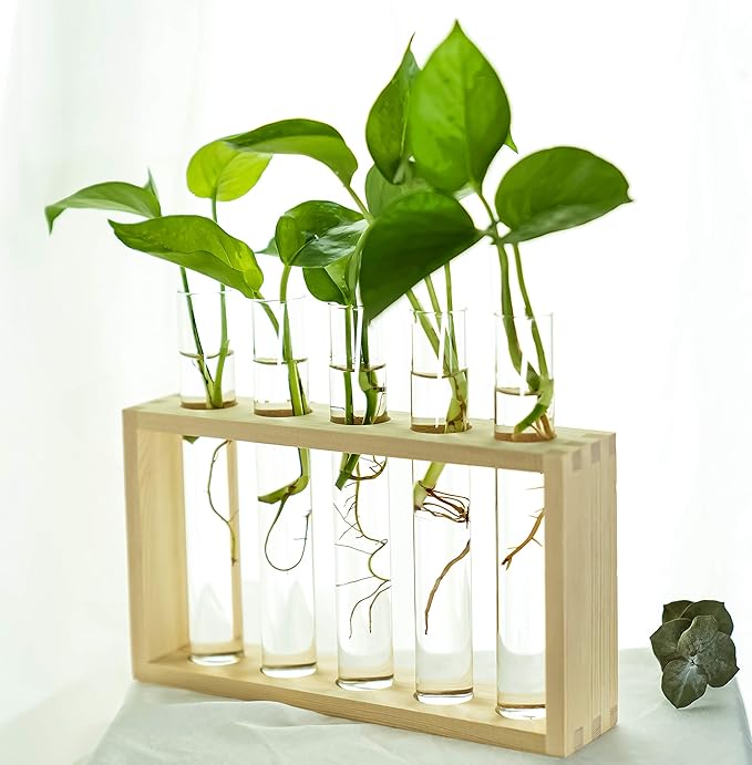 Kingbuy Wall Propagation Station with 5 Test Tube Vases - Vintage Wood Stand Wall Hanging Planter for Plants, Tabletop Terrarium Windowsill Decor Kitchen Herb Garden Accessory, Burlywood