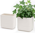 Phoenix Vine 6.5 Inch Wall Mounted Self-Watering Planter Pot for Indoor Houseplants and Herbs | Hanging Planter for Window Sills, Bathroom Walls, Home & Office Décor, Oatmeal, Set of 2, 01-C-G-2