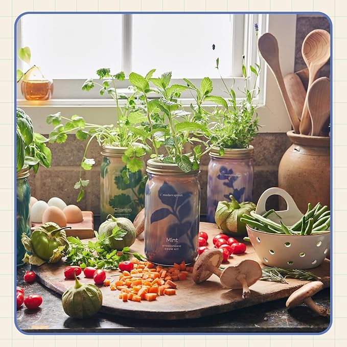Modern Sprout Mason Garden Jar - Self-Watering Hydroponics Growing System Kit with Organic Herb Seeds - Jar Planter for Indoor Herb Garden - Seed Starter Kit - Home Decor & Gifting - Mint