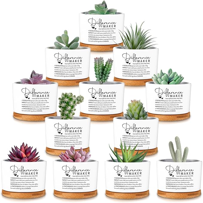 12 Pcs Difference Maker Employee Appreciation Gifts Succulent Pots Bulk Inspirational for Coworker Team Small Ceramic Plant Pots with Bamboo Trays for Office Staff Women Men