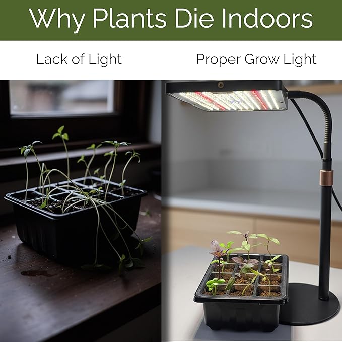 Seed Starter Kit with Grow Light – 2 Seed Starter Tray with Dome, Indoor Seed Starting System with LED Grow Light for Seedlings, Timer & Remote, 2 Kits Included