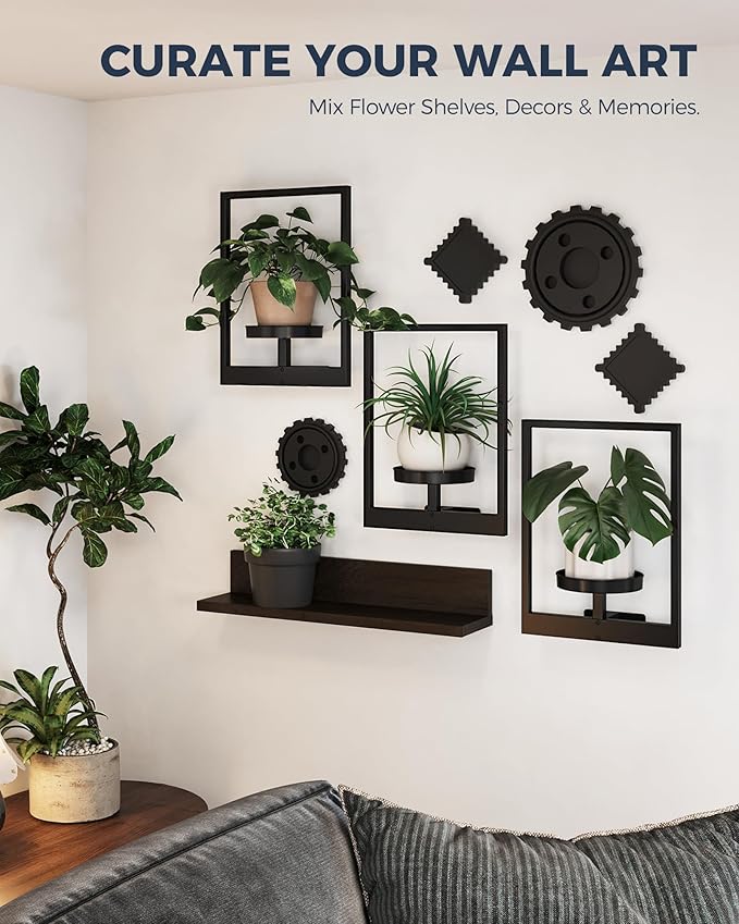 Bamworld Hanging Planters for Indoor Plants Wall Decor Living Room Plant Stand Indoor Wall Planters Plant Hanger Window Plant Shelves 3 Pack for Outdoor Entryway