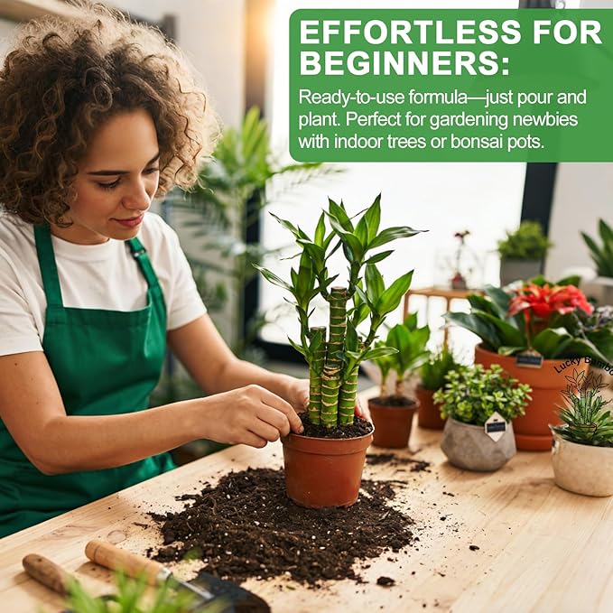 Pure Natural Potting Soil for Lucky Bamboo Plants 1qt - Superior Drainage & Breathability, Ideal Indoor Plant Soil