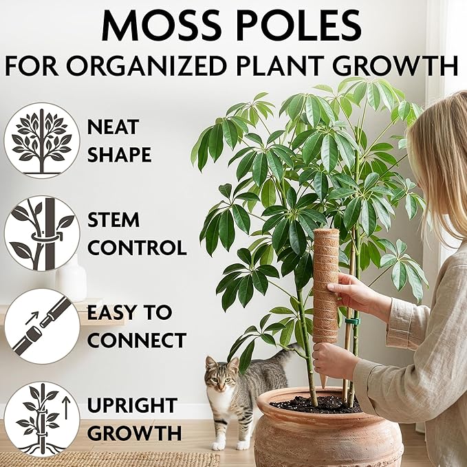 2 Pcs Small Moss Pole Monstera Plant Support Set - 15.75" Pothos Plant Climber Support with Connectable Design, Fixation Strip, Coconut Fiber Moss Poles for Monstera Plants, Money Plants, Philodendron