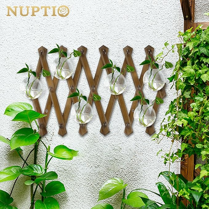 NUPTIO Wall Hanging Planters Terrarium: 12 Pcs Clear Glass Wall-Mounted Vases for Indoor Office Garden Living Room - Oblate Plant Pots Hydroponic Containers Propagation Stations for Flowers