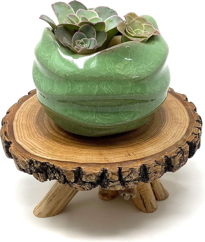 TJ Global Rustic Small Tree Trunk Slices Wood Plant Stand, Mini Wooden Stool Vase Stand, Display Stand, Perfect for Home Decor in Any Room Office Garden L6 x W5 x H3 (1 Stand)