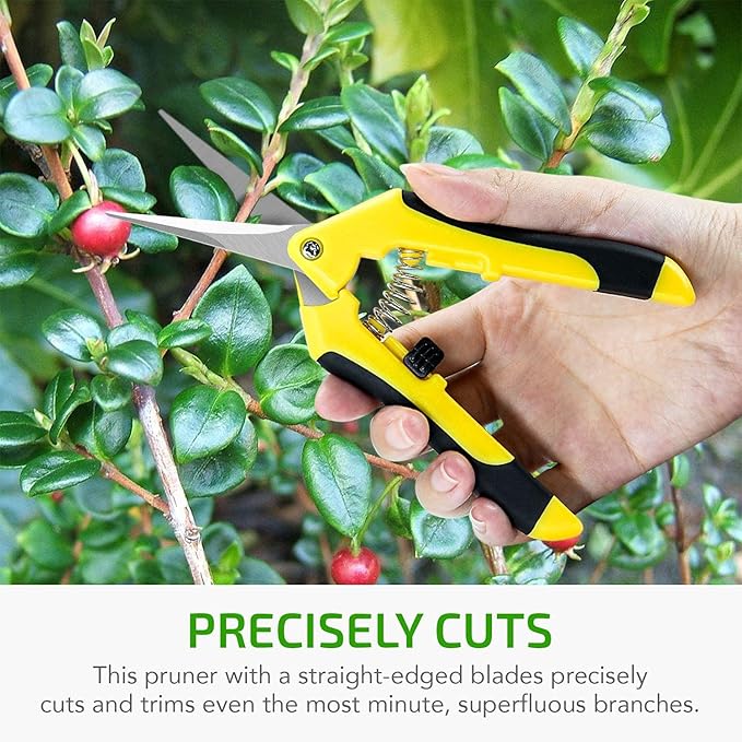 iPower 6.5 Inch Gardening Scissors Hand Pruner Pruning Shear with Straight Stainless Steel Blades, Yellow, 2-Pack