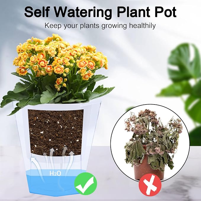 Oliz Self Watering Planter 5 Pcs, 4.5 Inch Flower Plant Pot with Transparent Inner Pot, Gardening Flowerpot with Watering Can, Indoor Self Watering Planter Pot for Herbs, Flowers (White)