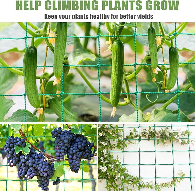 Trellis Netting, Heavy Duty Garden Netting for Trellis for Climbing Plants Outdoor, 9.85x6.6Ft Plant Netting for Cucumber, Tomato, 27 Strands & 4x4 in Mesh, Grow Net for Vine,Fruits, Vegetables, Bean