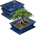 Villa Como Bonsai Pots Small Shallow Succulent Planters for Live Bonsai Trees Set of 2, 7.5" Ceramic Pot for Succulents Indoor with Drainage Hole and Saucer, Outdoor Cactus Plant Bonsai Pot
