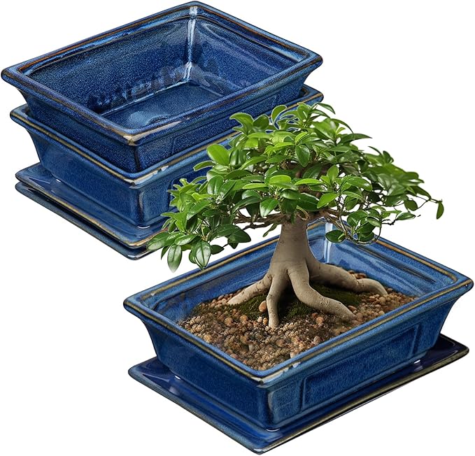 Villa Como Bonsai Pots Small Shallow Succulent Planters for Live Bonsai Trees Set of 2, 7.5" Ceramic Pot for Succulents Indoor with Drainage Hole and Saucer, Outdoor Cactus Plant Bonsai Pot