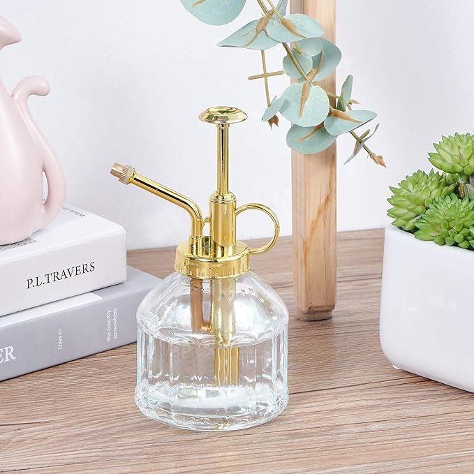 Glass Plant Mister Spray Bottle, Succulent Watering Bottle with Golden Top Pump, Vintage Plant Spritzer, Decorative Water Sprayer Small Watering Can for Indoor Outdoor Houseplant - Clear