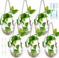 6 Pcs Wall Hanging Planter Glass Plant Pot Water Terrarium Containers Wall Vases for Flowers Air Hydroponic Propagation Glass Plant Holder Home Room Window Office(Oblate)