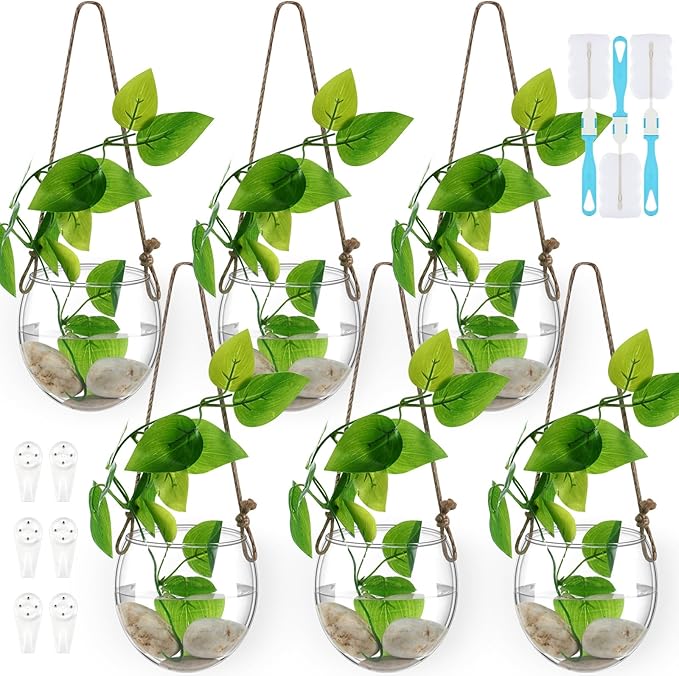 6 Pcs Wall Hanging Planter Glass Plant Pot Water Terrarium Containers Wall Vases for Flowers Air Hydroponic Propagation Glass Plant Holder Home Room Window Office(Oblate)
