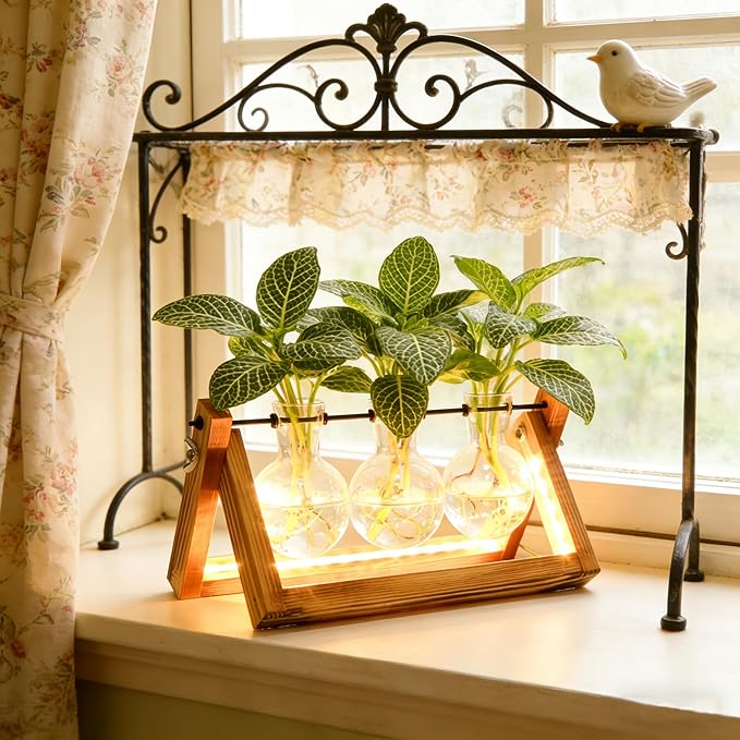 Plant Propagation Stations with LED Lights, Plants Terrarium with Retro Wooden Stand Glass Vase Hydroponics Planter Birthday Gift for Plant Lovers Home Garden Office Indoor Decoration-3 Bulb Vase