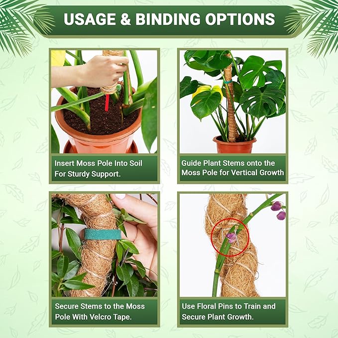 Bendable Moss Pole 48 Inch for Monstera & Climbing Plants – Pack of 2 Coco Coir Moss Poles for Indoor Plant Support, Trellis Pole for Pothos, Philodendron, Tall Plant Stakes for Home Gardeners