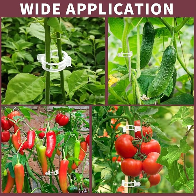 200Pcs Plant Support Clips Reusable Plastic Garden Clips Trellis Clips for Tomato Cucumber Vine Climbing Plants Indoor Outdoor Stem Support Monstera Pothos Orchid Clematis