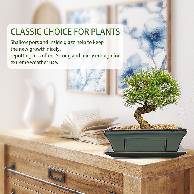Large Ceramic Bonsai Pots with Drainage Trays Set of 2, 10" Green Glazed Bonsai Planters for Indoor/Outdoor Use, Rectangular Shallow Bonzai Tree Pot for Succulent, Orchids, Cacti, Home, Patio, Garden,