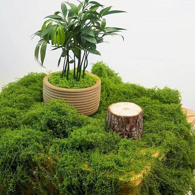 MGLIFEUL 1.125 LBS Artificial Fake Moss for Crafts Plants Indoor with Non-Stick Gloves and Tweezers，Preserved Green Plant Faux Craft Moss Musgo for Fairy Garden Outdoor Home Decorating Model Making