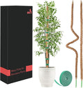 UNCO- Bendable Moss Pole Monstera Plant Support, 63 Inch, 2 Pack, 10 Feet Plant Ties, Moss Poles for Climbing Plants and Monstera Trellis