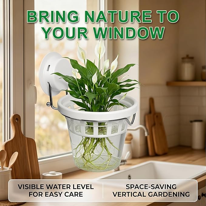 3 Pcs Window Propagation Stations Plastic Wall Hanging Planter with Suction Cup Holder Window Mounted Plant for Hydroponics Plants, Home, Office, Bathroom, Living Room Decor and Any Smooth Surface