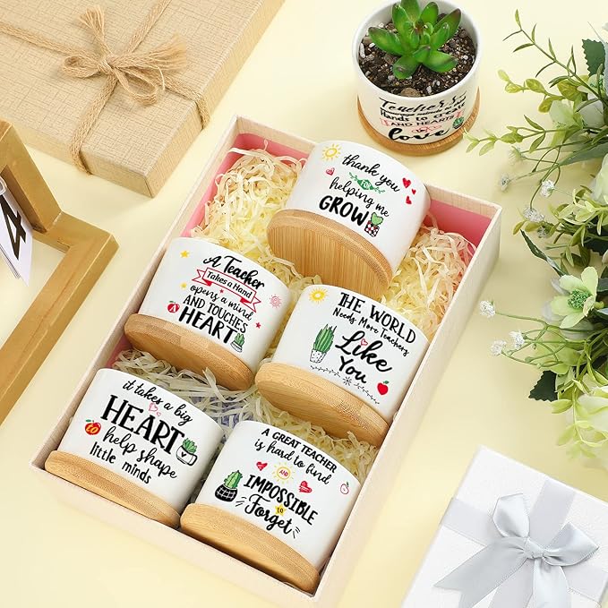 Potchen 6 Pcs Teacher Appreciation Gifts Funny Succulent Pots with Bamboo Tray End of Year Teacher Gifts Graduation Thank You Planter Accessories for Women, Coworker