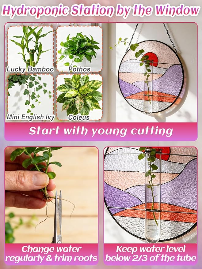Stained Glass Propagation Stations - Sunshine Catcher Window Hanging Plant Holder, Terrariums Wall Decor for Women Mom Plant Lovers Gardening Gifts, Purple