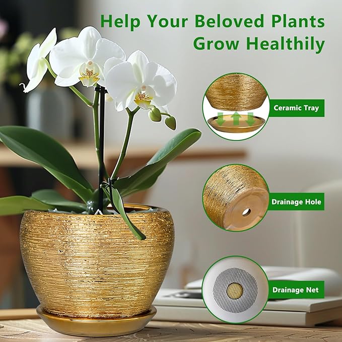 Ceramicfor Ceramic Planter 10 Inch - Indoor Plant Pot with Drainage Hole and Saucer Large Decorative Planter Mid-Century Modern Flower Pot Outdoor for Home Decor Gold
