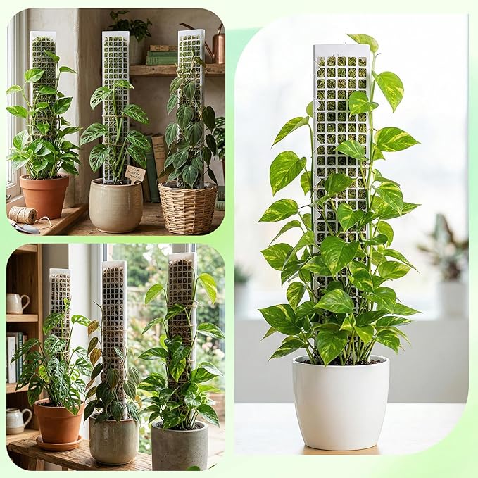 6 Pcs 24 Inch Plastic Moss Pole for Plants Monstera, D Shaped Moss Pole, Plant Poles for Climbing Plants, Plant Support for Indoor Plant Work with Sphagnum