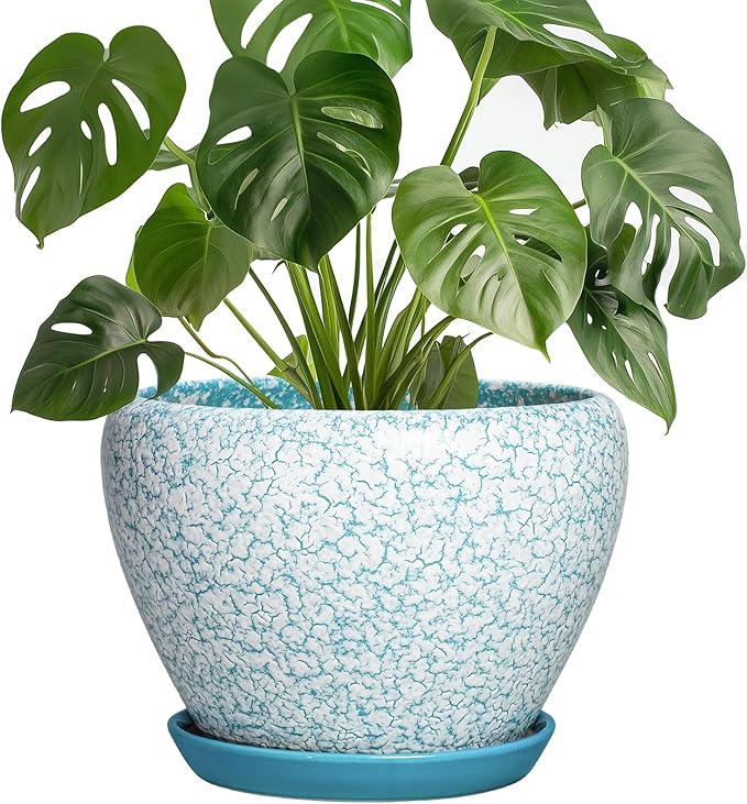 Ceramic Plant Pots - 8 Inch Indoor Plant Pots with Drainage Hole and Tray, Decorative Round Planters for Outdoor Plants, Indoor Plant Pot, Home Decor, Gifts for Men Women, Crackle Blue