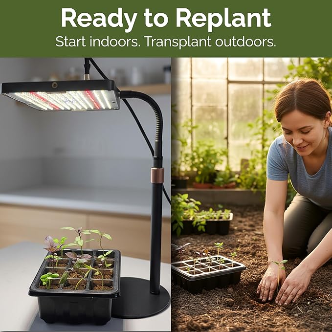 Seed Starter Kit with Grow Light – 2 Seed Starter Tray with Dome, Indoor Seed Starting System with LED Grow Light for Seedlings, Timer & Remote, 2 Kits Included