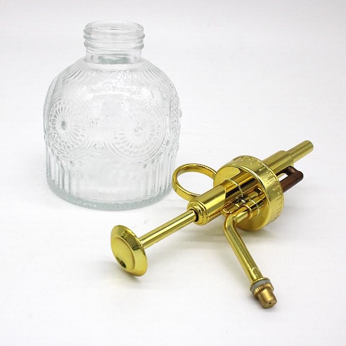 Glass Plant Mister Spray Bottle, 230ML Vintage Plant Spritzer, Succulent Watering Bottle Glass with Top Pump, Small Plants Sprayer Watering Can for Indoor Outdoor House(Clear)