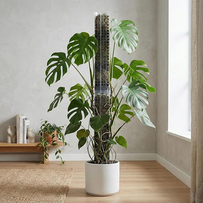 6 Pcs 24 Inch Plastic Moss Pole for Plants Monstera, D Shaped Moss Pole, Plant Poles for Climbing Plants, Plant Support for Indoor Plant Work with Sphagnum